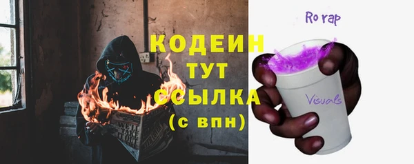 mdpv Горно-Алтайск
