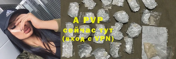 mdpv Горно-Алтайск