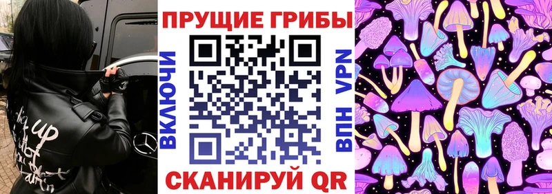 Псилоцибиновые грибы Magic Shrooms Гуково